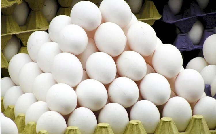 Ovos: ano é marcado por preço recorde e exportação em alta