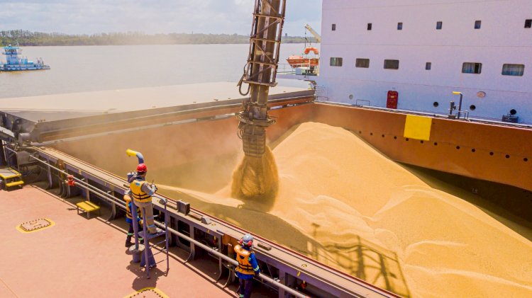 Brasil deve embarcar mais de 10 milhões de t de soja em abril, diz Anec