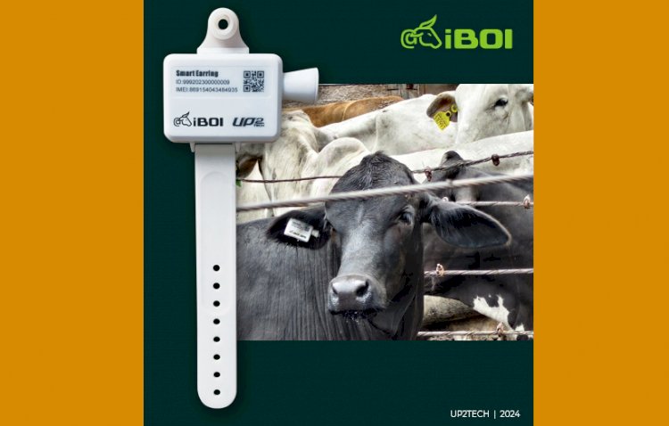 Empresa de telecom lança iBoi, tecnologia para geolocalização do gado