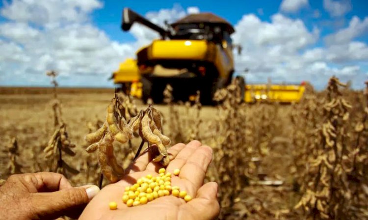 Região do Paraná perde R$ 500 milhões por quebra na soja