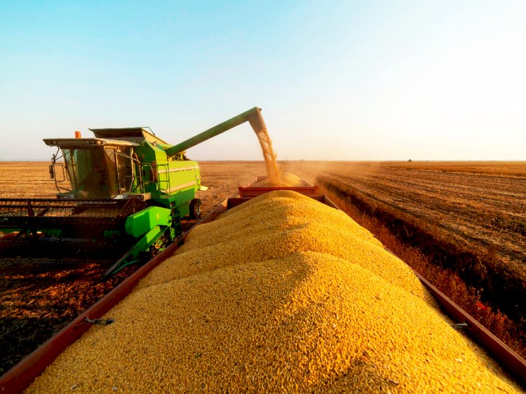 Exportação de soja reduz 5% ante maio de 2023